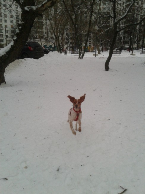 20161218_145428.jpg