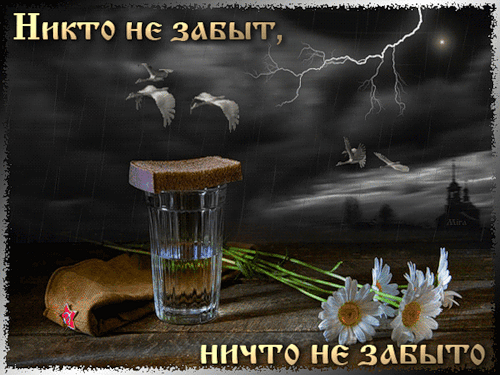919158208.gif
