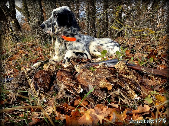 26b3a23aa802c6ecbe8d70dae872ea6d.jpg (193.47 КБ) 24407 просмотров Фото Е.Шевченко