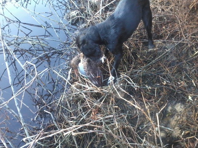 Достала с воды !