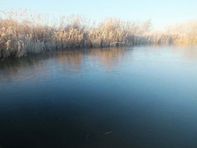 Ледок однако...