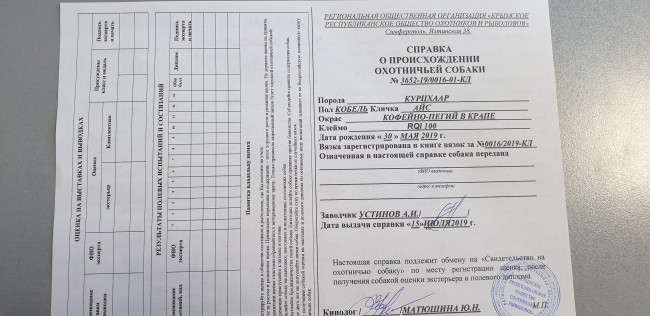 20190716_135127.jpg