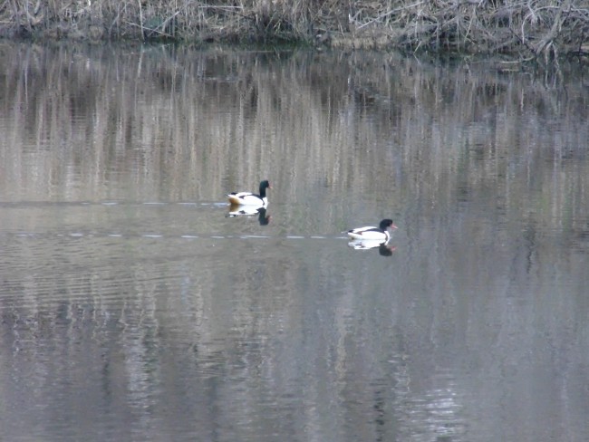 DSC00773.JPG