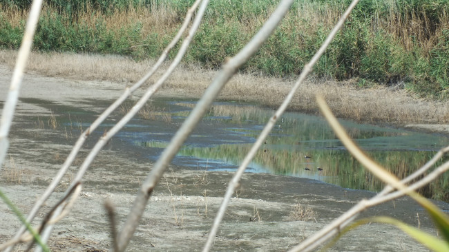 DSCF7578.JPG