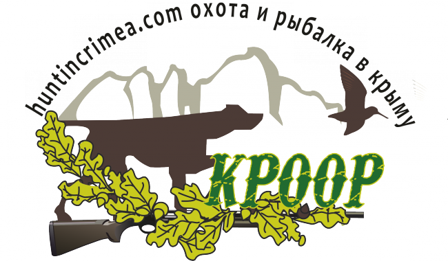 logo_kroor_sayt.png