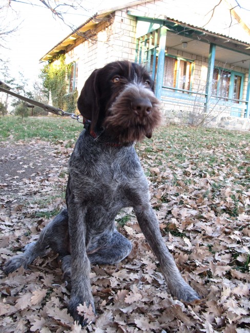 IMG_0764 копия.JPG