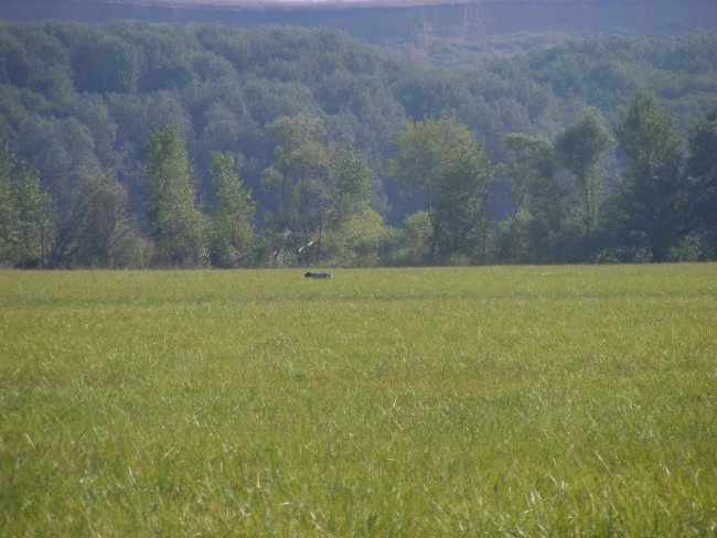 DSCF7218.JPG