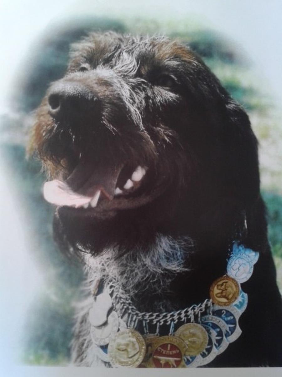 Дед Рич.Дипломы 1-3, 2-14, 3-10