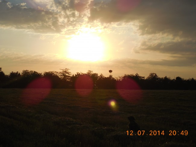 DSCN1136.jpg
