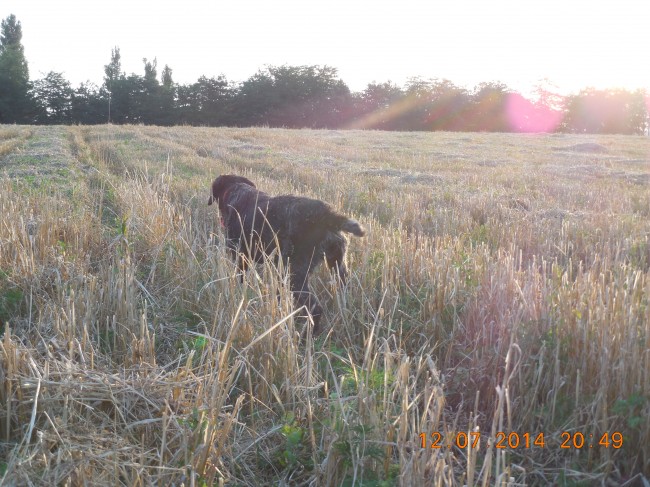 DSCN1133.jpg