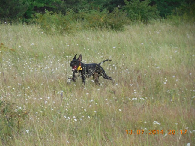 DSCN1179.jpg