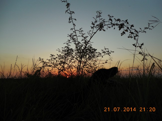DSCN1531.jpg