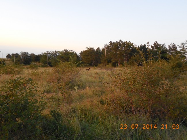 DSCN1548.jpg