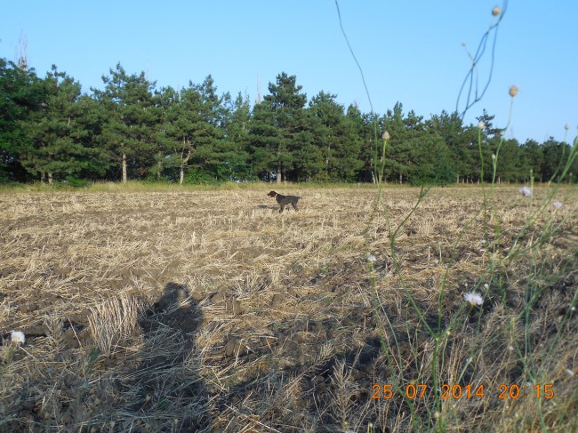 DSCN1597.jpg
