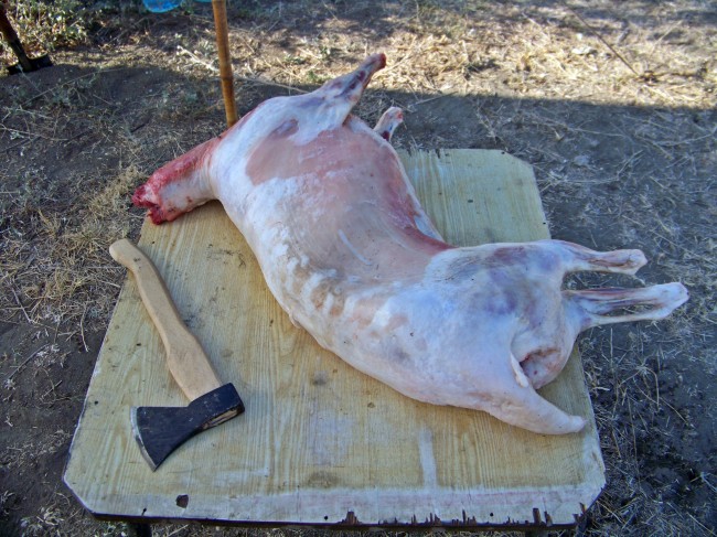 100_4691.jpg (328.92 КБ) Просмотров: 13894 100_4691.jpg