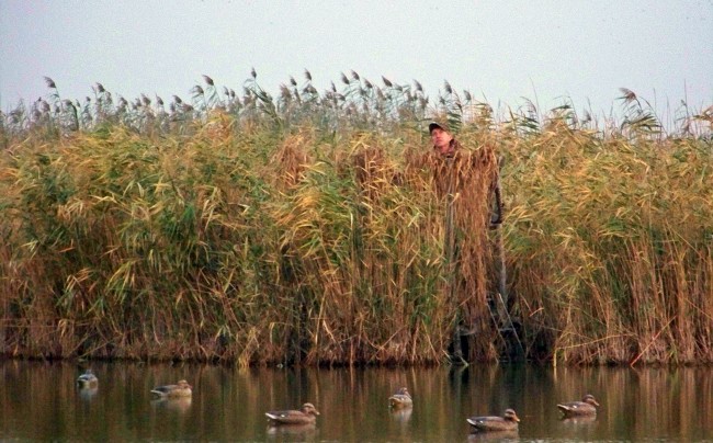 26.jpg (303.51 КБ) Просмотров: 13689 26.jpg