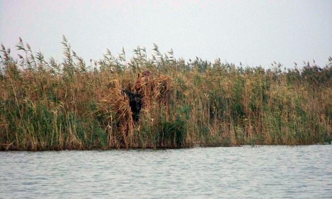 28.jpg (289.04 КБ) Просмотров: 13689 28.jpg