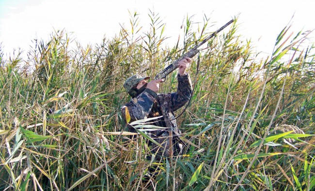 29.jpg (420.01 КБ) Просмотров: 13689 29.jpg