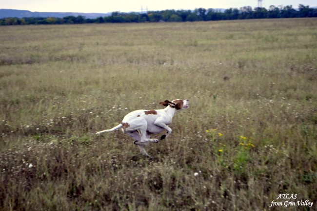 _DSC0764.JPG