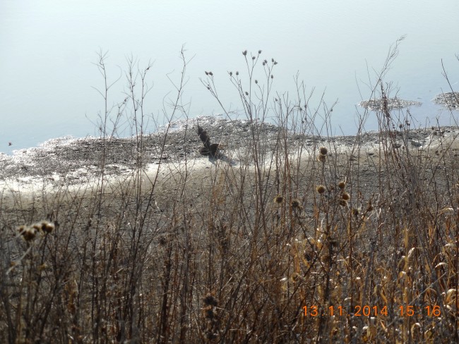 On the beach.jpg