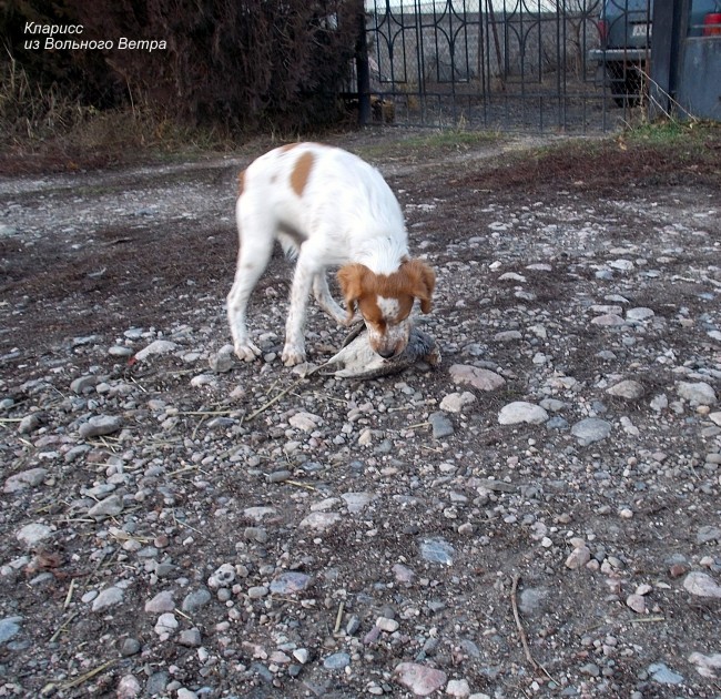 DSCN3176.JPG