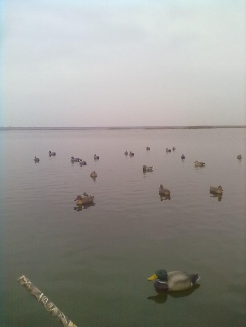 05112011063.jpg