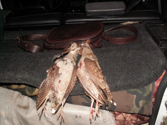 PICT0723.JPG
