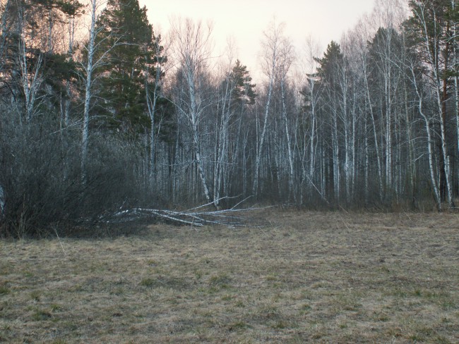PICT0725.JPG