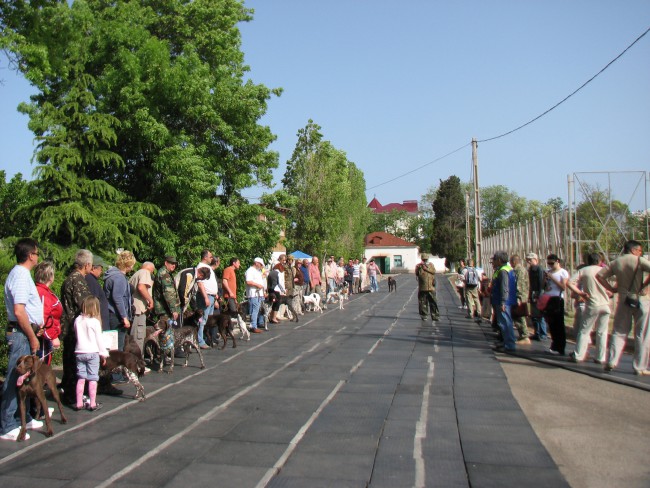 Выставка в Севастополе май 2010 г 004.jpg