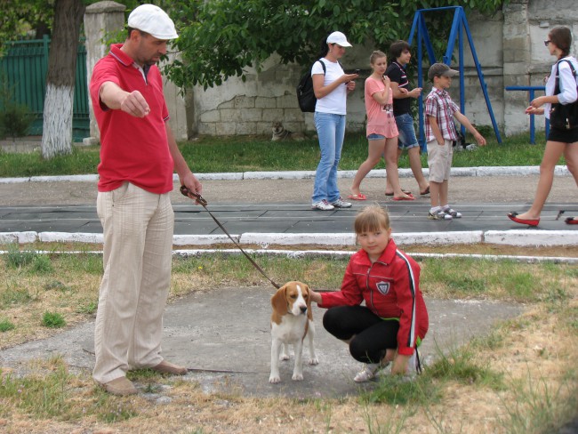 Севастопольская выставка 13 мая 2012 г 034.jpg