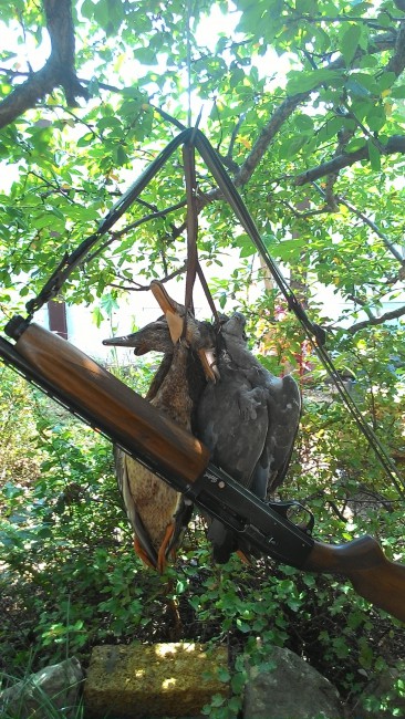 Вчерашний день,3 утки,2 чирка,2 вяхиря