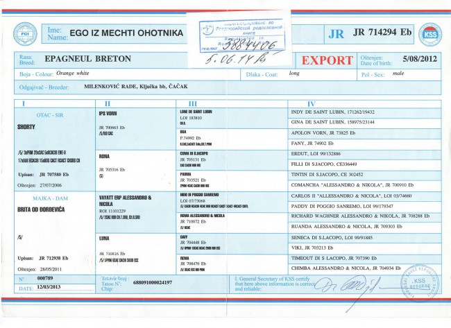 Родословная эго1mb.jpg