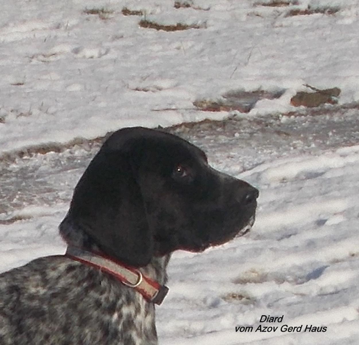 DSCN3730.JPG