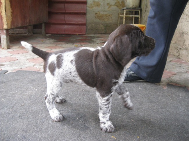 IMG_3385.JPG (250.06 КБ) Просмотров: 6842 IMG_3385.JPG