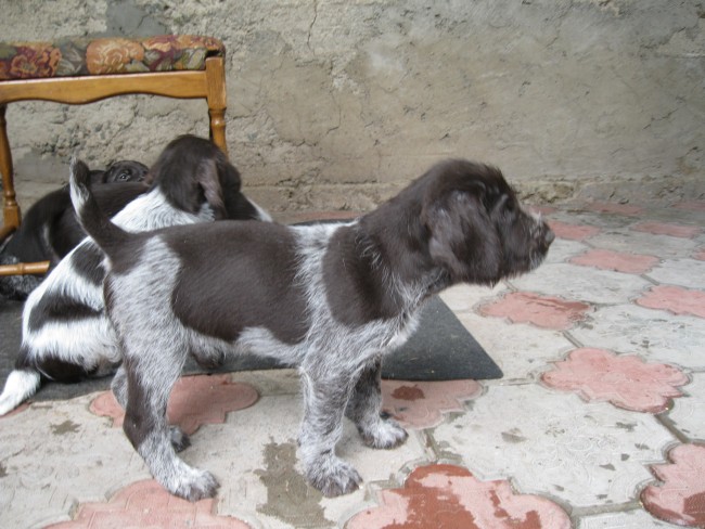 IMG_3415.JPG (231.89 КБ) Просмотров: 6842 IMG_3415.JPG