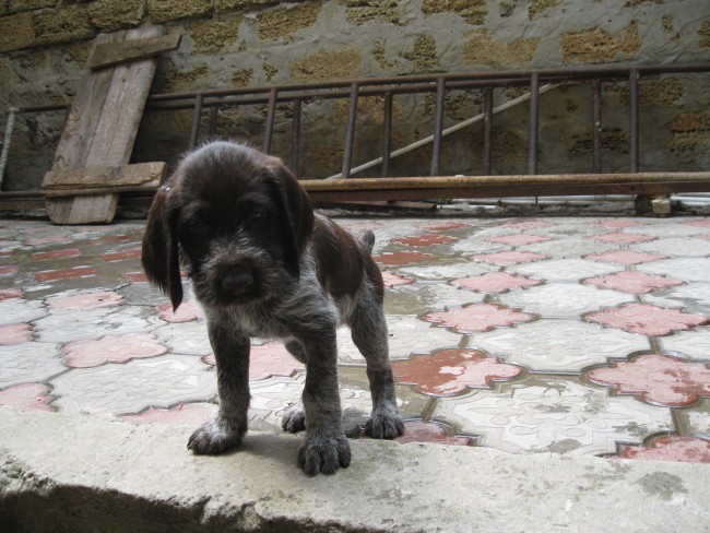 IMG_3400.JPG (276.13 КБ) Просмотров: 6842 IMG_3400.JPG