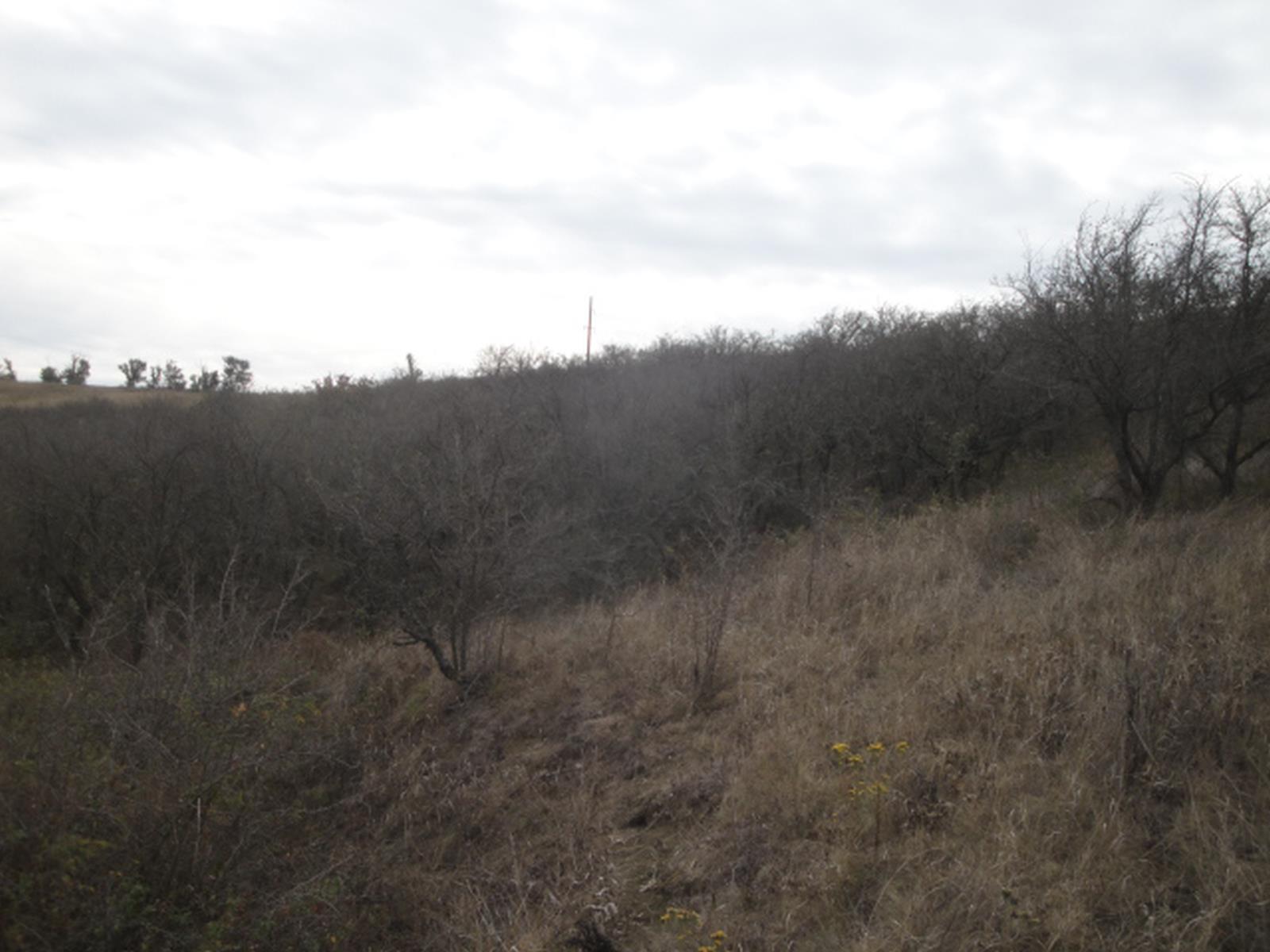 DSC07046.JPG